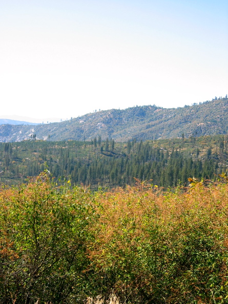 IMG_6805.JPG