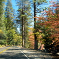 IMG_6817.JPG