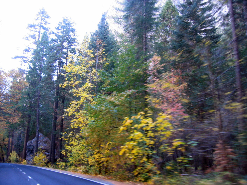 IMG_6828.JPG