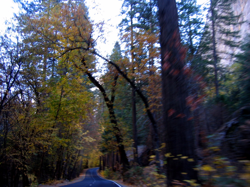 IMG_6829.JPG