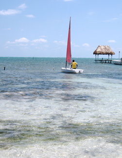 IMG 0866