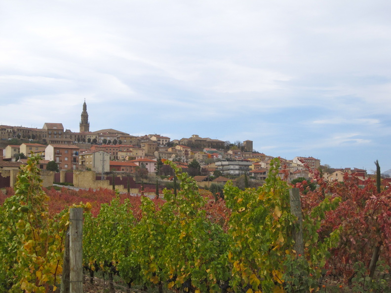 Vineyards