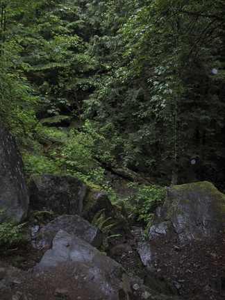 105 0541 IMG