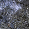 105 0567 IMG