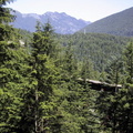 105 0572 IMG