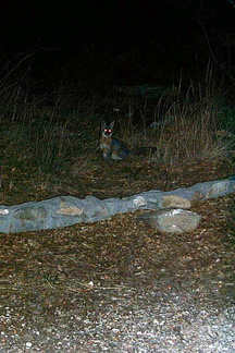 P0000903