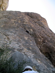 IMG 2073