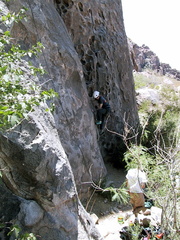IMG 2077