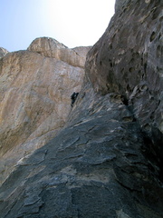 IMG 2078
