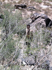 IMG 2083
