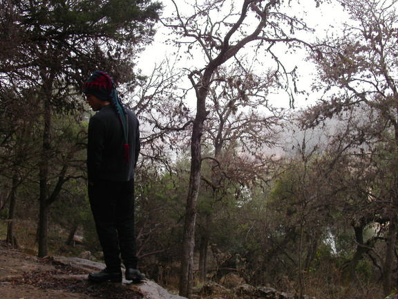 George hat and trees