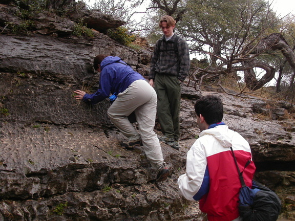 Trekking 7