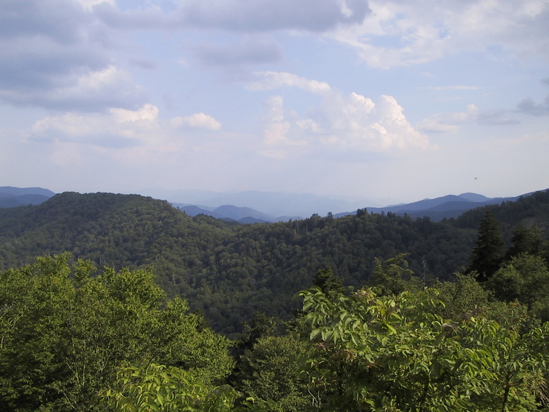 IMG_2237.jpg