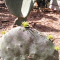 IMG 20140404 162831922
