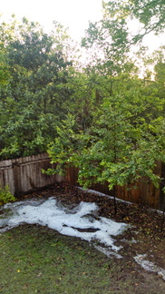 IMG 20140408 073439830 HDR