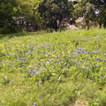 IMG 20140411 133117687
