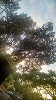 IMG 20140509 201406830 HDR