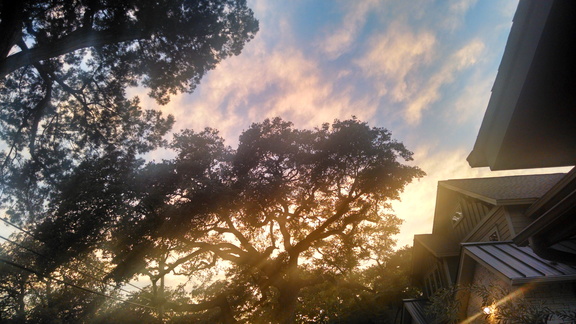 IMG 20140509 201857143 HDR