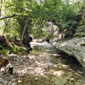 IMG 20140601 160743581