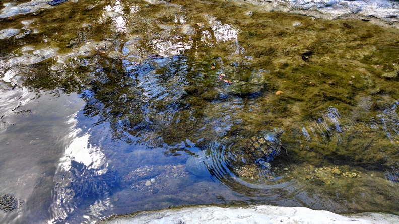 IMG 20140607 094713675 HDR