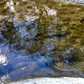 IMG 20140607 094713675 HDR