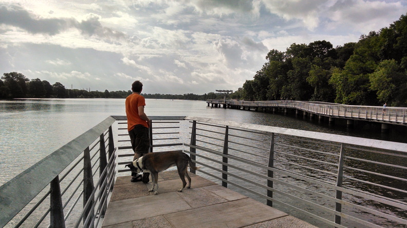 IMG 20140608 085626198 HDR
