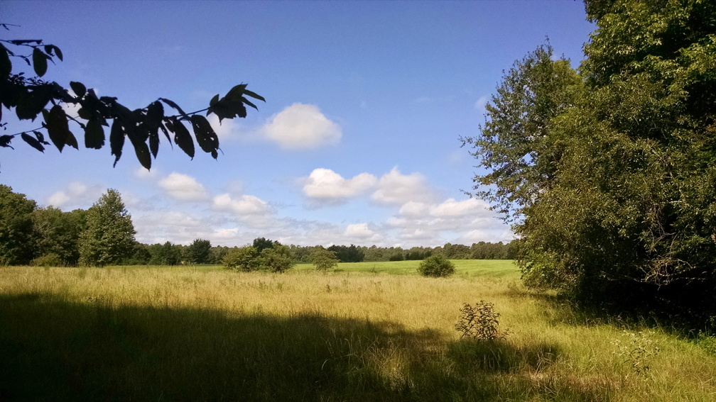 IMG 20140831 105123154