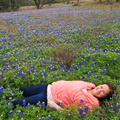 fetus in bluebonnets - making of