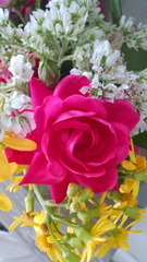 IMG 20150413 104753757
