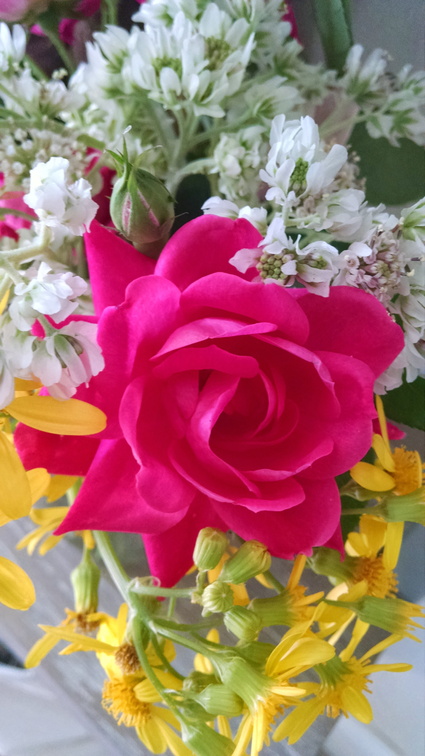 IMG 20150413 104753757