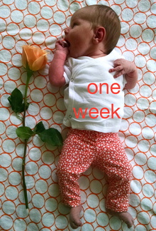 01 week annie