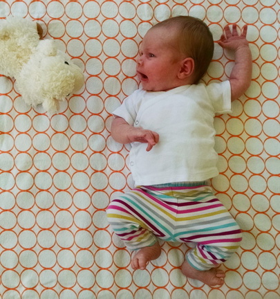 03 week annie 5