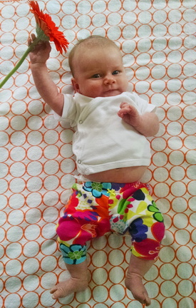 05 week annie 3