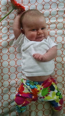 05 week annie 4