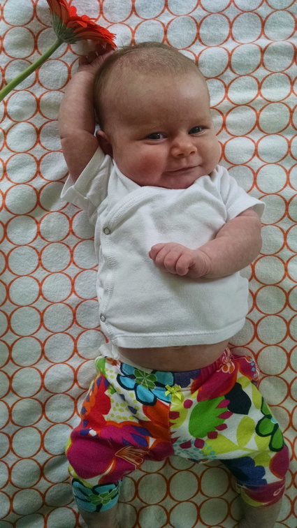 05 week annie 4