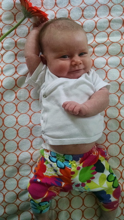 05 week annie 4