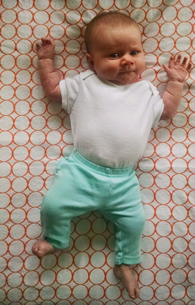06 week annie 2