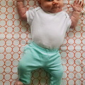06 week annie 2