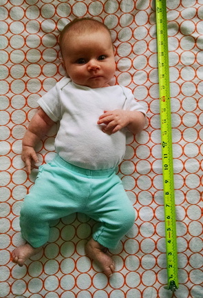 06 week annie 3