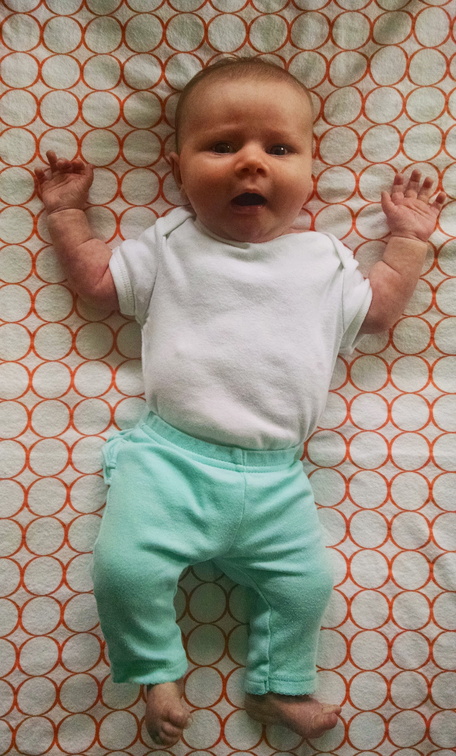 06 week annie 4