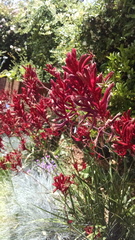 IMG 20150627 124524209