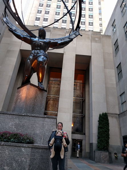 IMG 20151120 084246