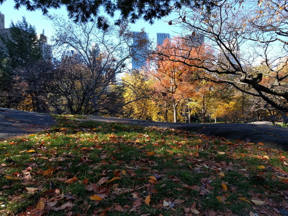 IMG 20151120 121657