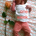 01 week annie