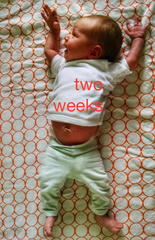 02 week annie