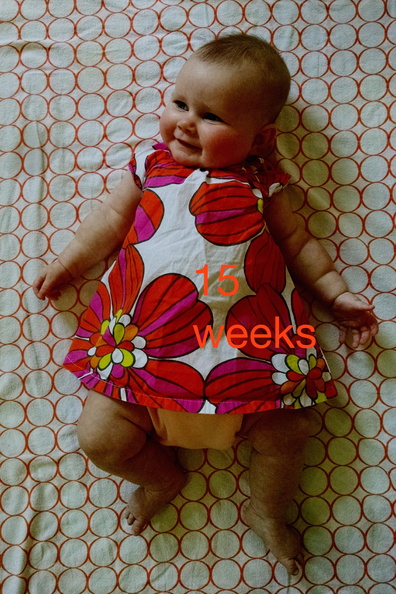 15 week annie.jpg