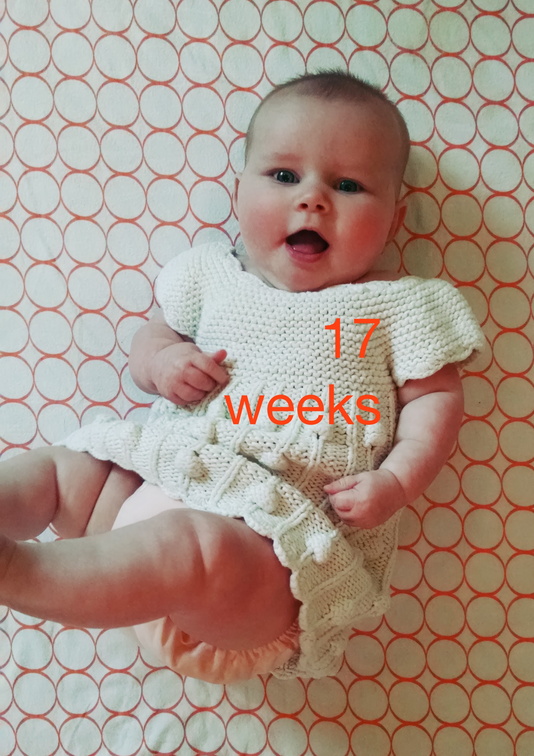 17 week annie