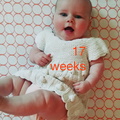 17 week annie