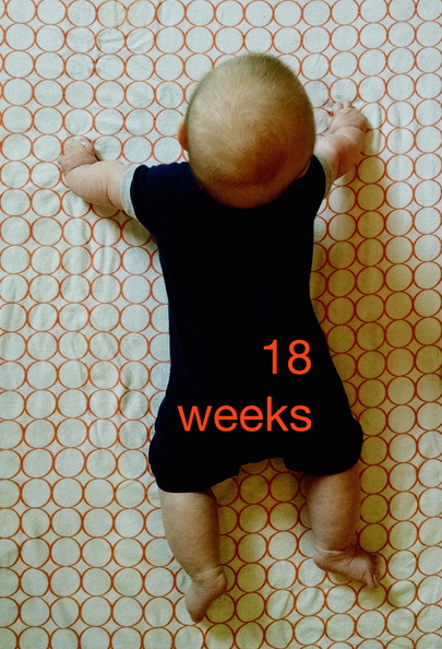 18 week annie.jpg