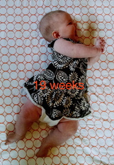 19 week annie